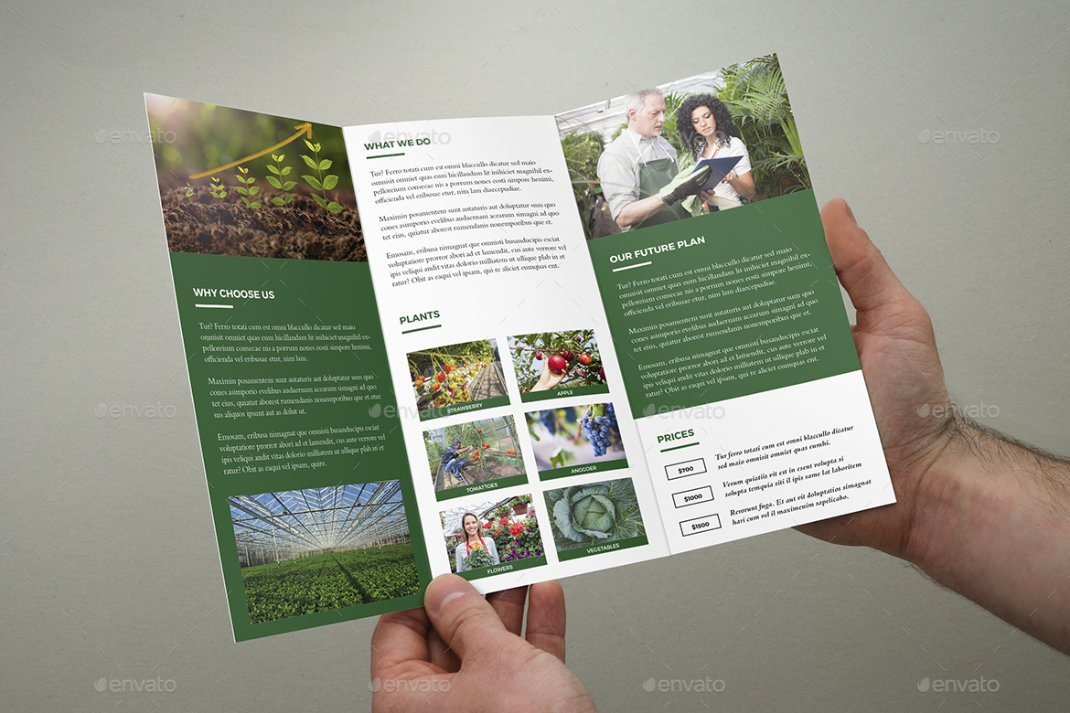 Trifold Plant Brochure, Print Templates | GraphicRiver