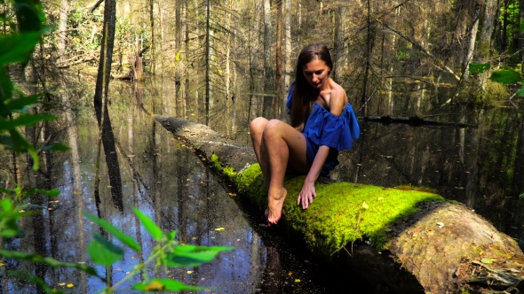 Girl in a Blue Dress Sitting on a Fallen Tree in the Wilderness