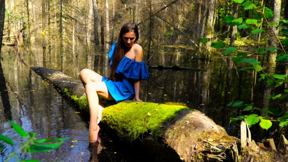 Girl in a Blue Dress Sitting on a Fallen Tree in the Wilderness