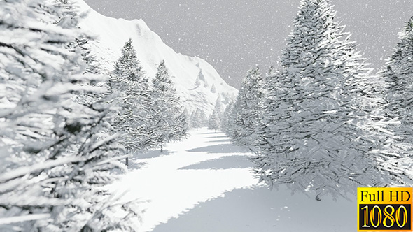 Snowy Winter Forest