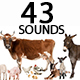 Farm Animals Sounds Pack