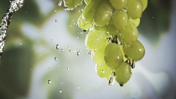 Wishihg a Bunch of Fresh Heaithy Green Grapes