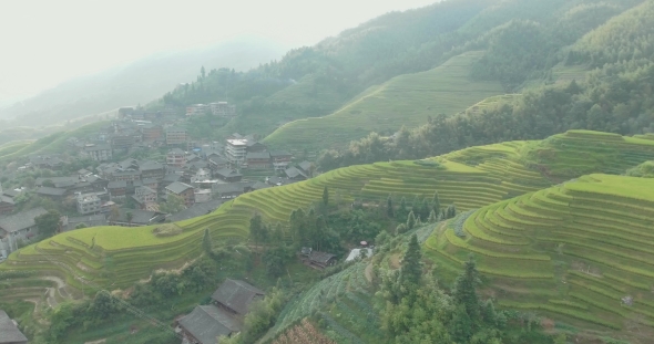 The Longji Rice Terraces