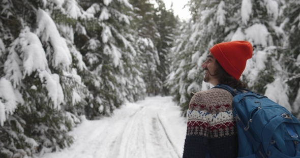 Man Hiker Walking Snow Winter Forest Traveler With Backpack Back Rear View