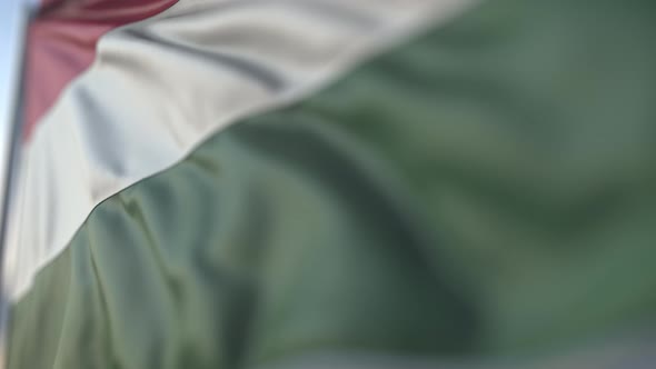 Waving Flag of Hungary alt