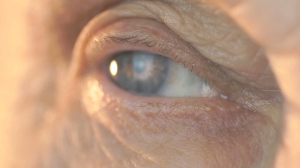 Blue Eye of Middle-aged Woman. alt