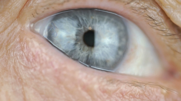 Blue Eye of Middle-aged Woman. alt
