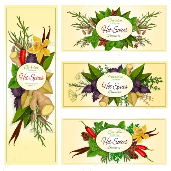 Spice Herb and Condiment Banners for Food Design - Food Objects