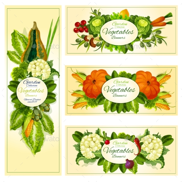 Fresh Vegetable Banner Set with Copy Space - Food Objects