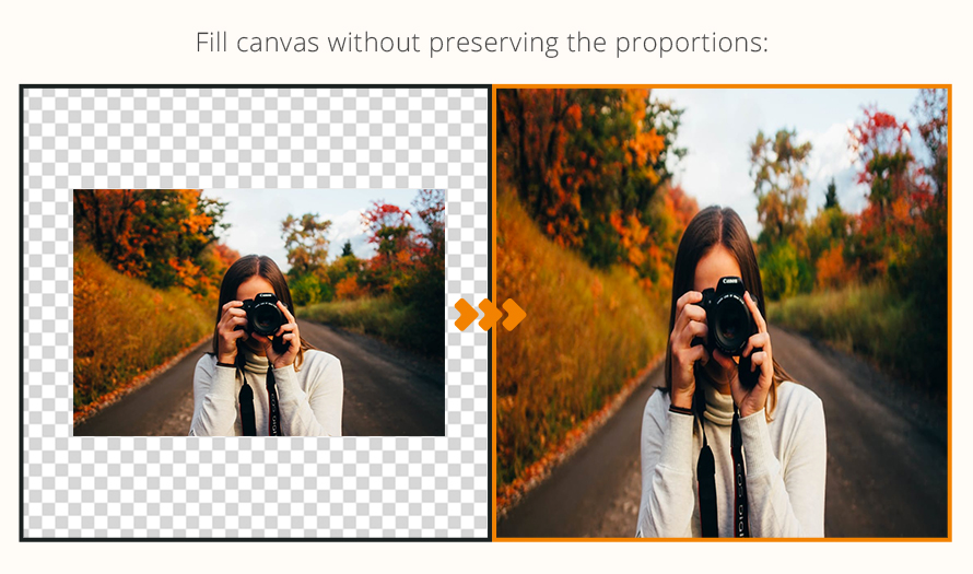 Transform Layer To Canvas Size, Add-ons 