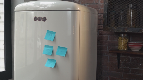 Young Blonde Standing Near Refrigerator in Flat alt