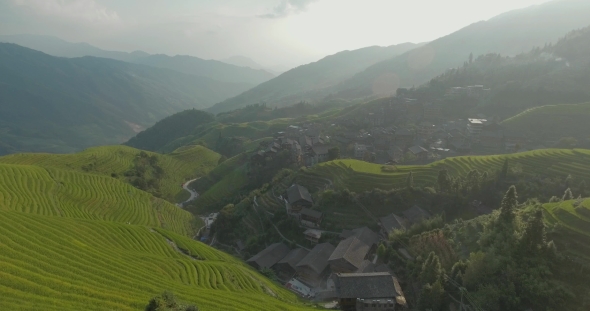The Longji Rice Terraces alt