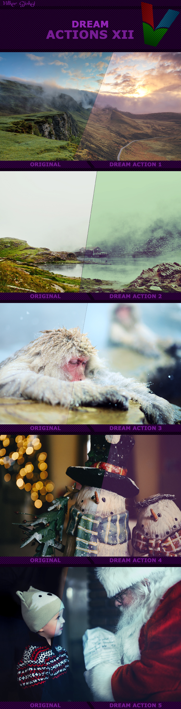 Dream Actions XII