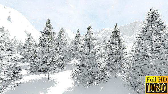 Snowy Fir Trees