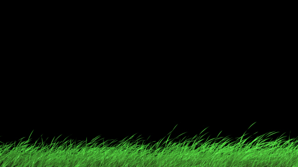 Grass1 alt