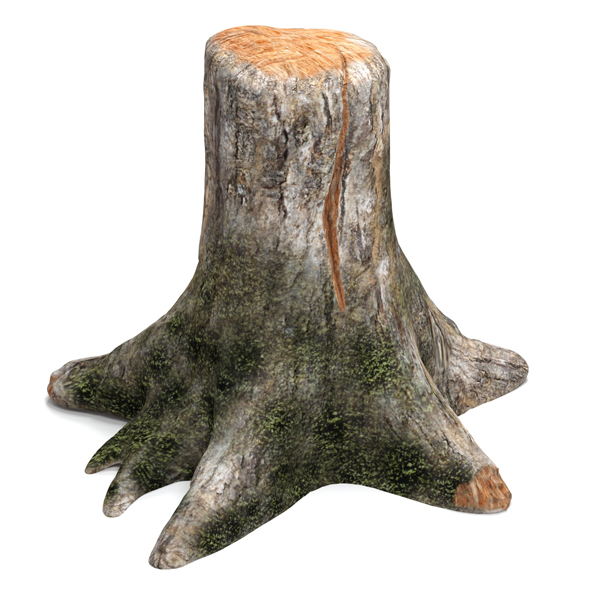 Old tree stump - 3Docean 19203434