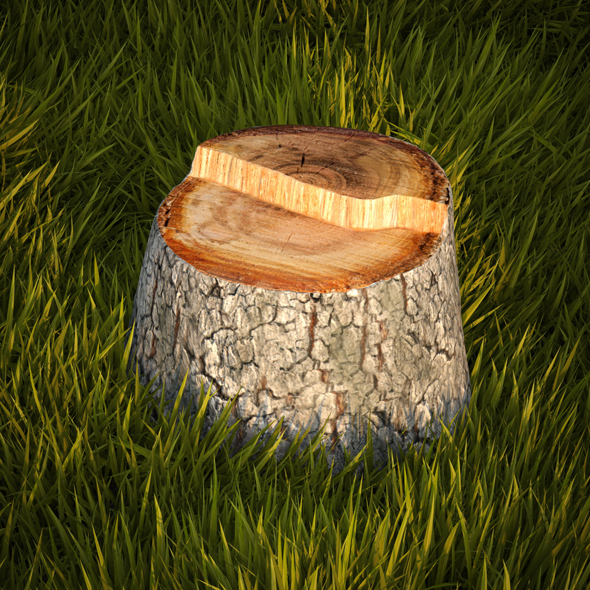 Tree stump - 3Docean 19203473