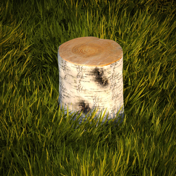 Birch stump - 3Docean 19203530