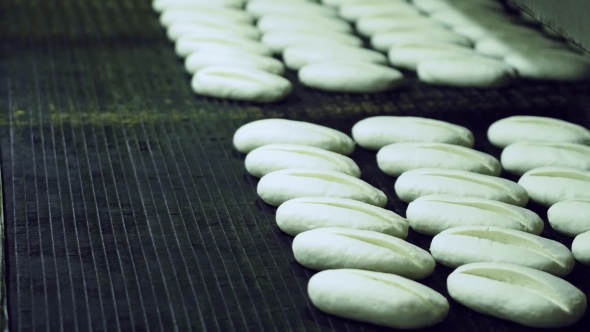 Bread Moving on a Conveyor Belt, Ready for Baking in Bakery