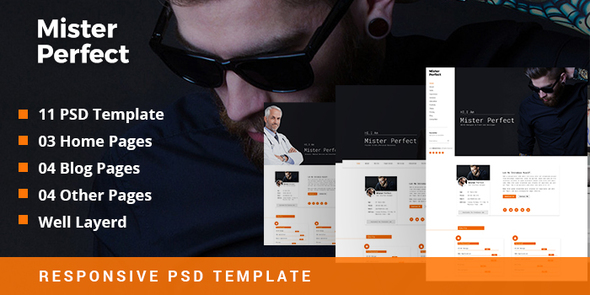 Mister Perfect - ThemeForest 19050164