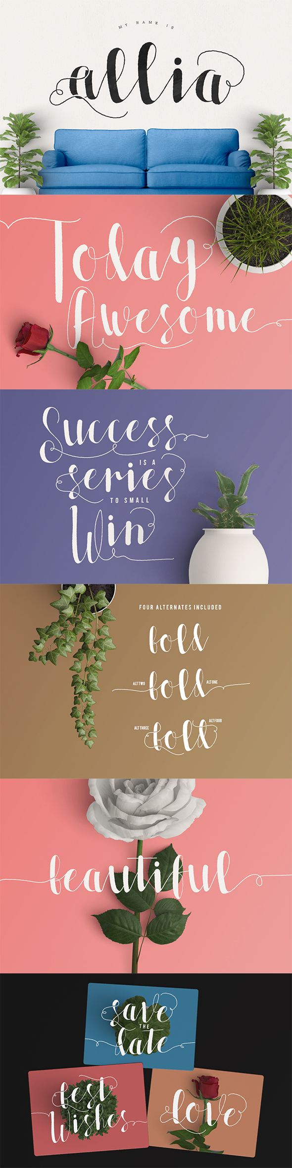 Allia Typeface - Script Fonts