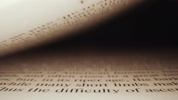 Macro of Book Page alt