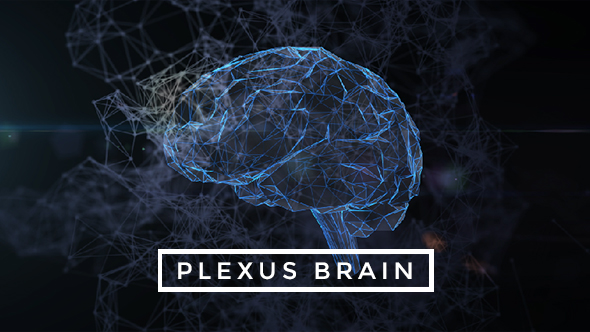 Plexus Brain Rotation #6
