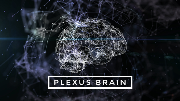 Plexus Brain Rotation #7 alt
