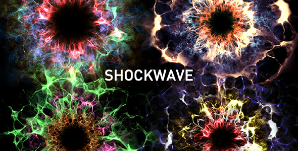 adobe shockwave version check