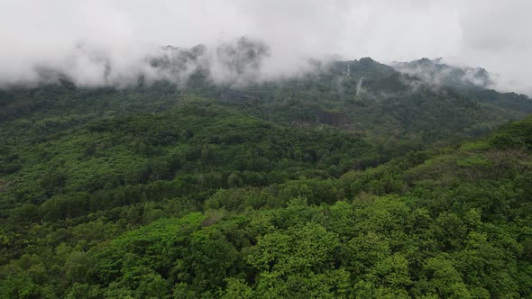 Aerial drone view of mist tropical rainforest in valley, Indonesia. alt