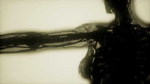 Human Skeleton Bones Scan Glowing alt