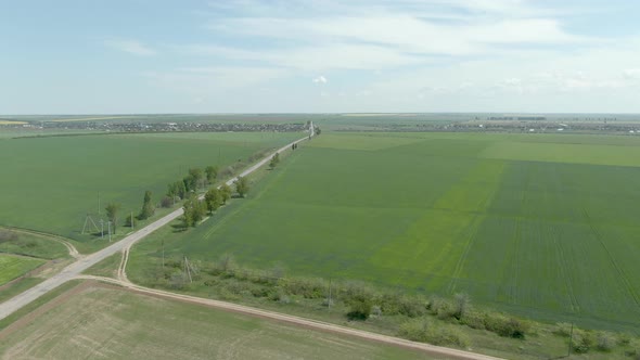 Wheat, Sowing, Cornfield 3