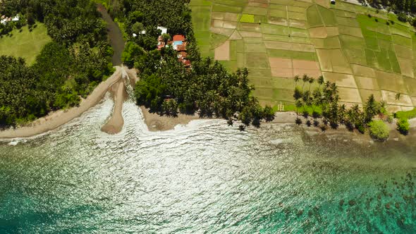 Tropical Landscape, Rice Fields and the Sea Camiguin, Philippines alt