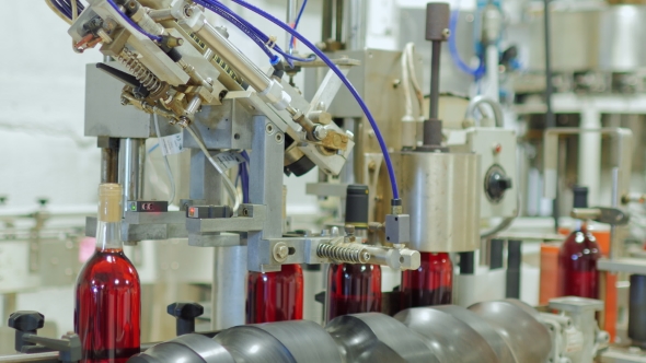 Work in the Winery. The Wine Is Bottled. Then, on the Conveyor Belt Moves and Closes Corks alt