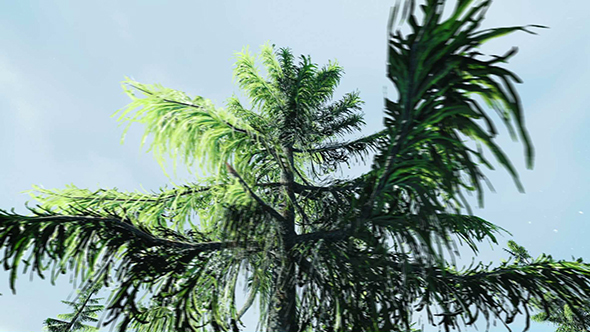 Winter Forest Trees alt