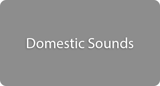 Domestic Sounds