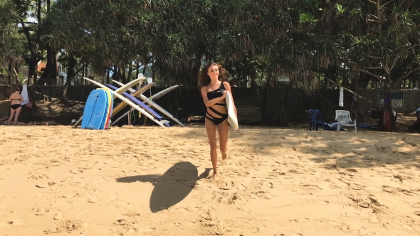 Beautiful Sexy Surfer Girl On The Beach