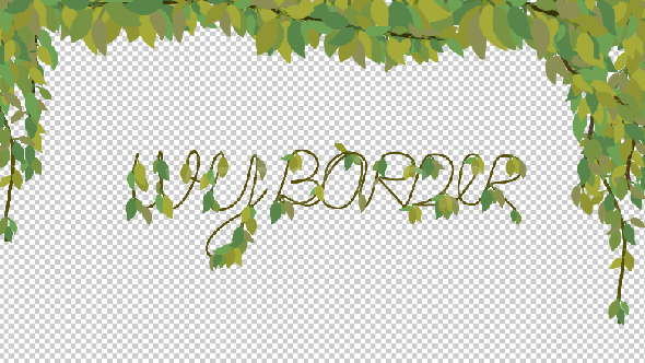 Ivy Border