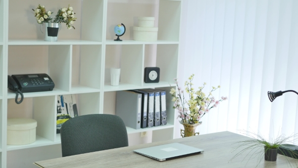 Young Woman in the Office