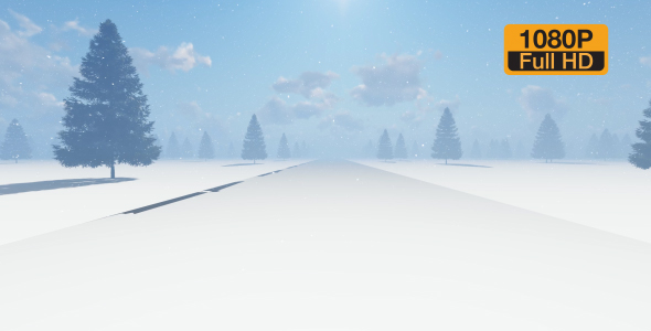 Snowy Road