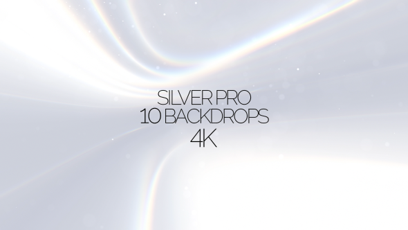 Silver Pro V.1