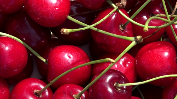 Healthy Ripe Cherry Berries. Rotating Turntable Anticlockwise