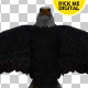 Eagle 04 - VideoHive Item for Sale