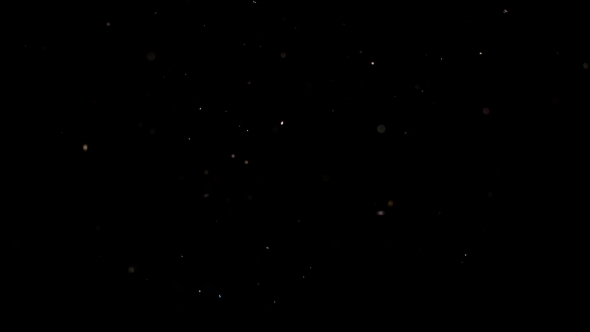 Particles Flying on a Black Background. Colored Particles Flying Erratically