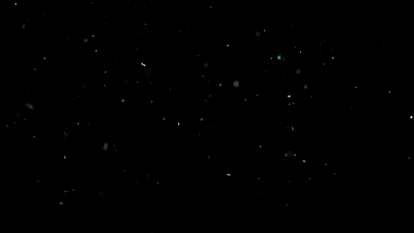Particles Flying on a Black Background. Colored Particles Flying Erratically.