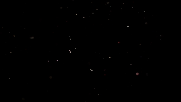 Particles Flying on a Black Background. Colored Particles Flying Erratically.