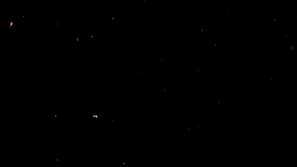 Particles Flying on a Black Background. Colored Particles Flying Erratically.