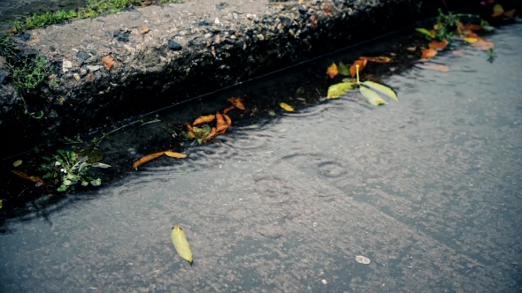 Rain in Autumn. Raindrops Fall on a Concrete Pavement