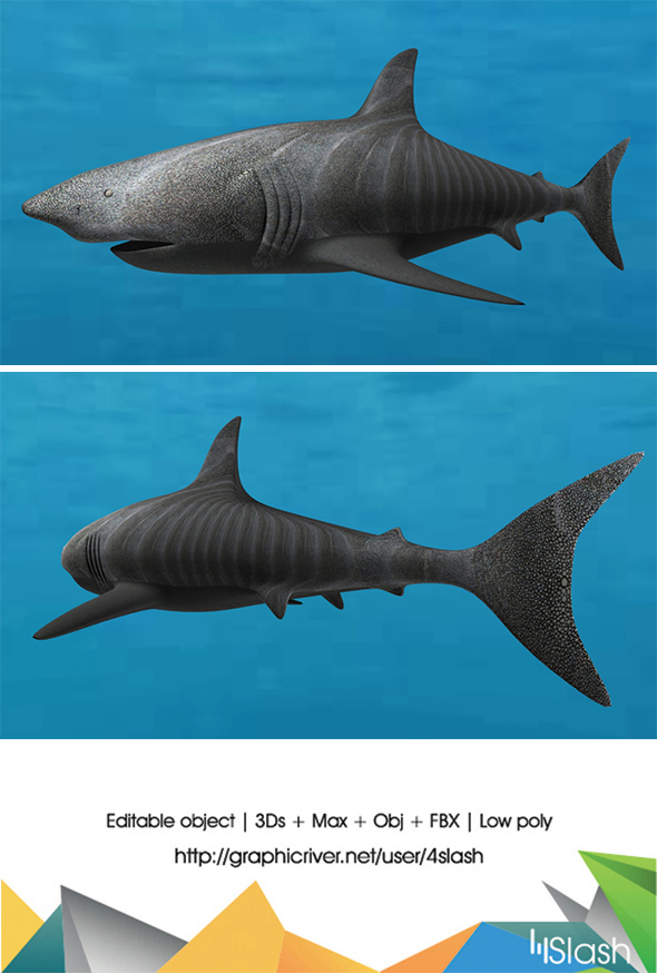 3d Shark - 3Docean 19262043