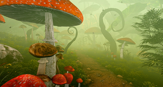 MUSHROOMS AND FAIRY FOREST